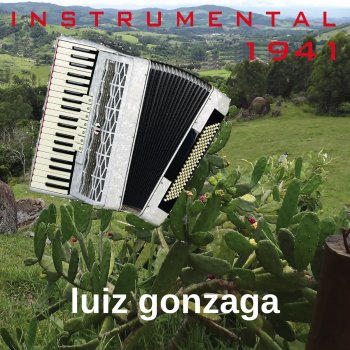 Luiz Gonzaga Nós Queremos uma Valsa - Instrumental