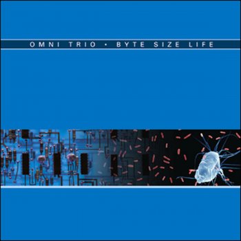 Omni Trio Beyond the Fundamental (Big Bud Remix)