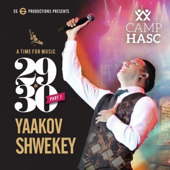 Yaakov Shwekey Small Piece Of Heaven - Live