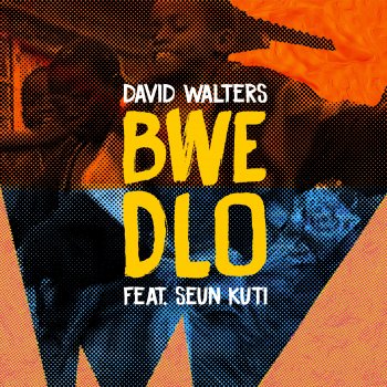 David Walters feat. Seun Kuti & La Dame Bwè Dlo - DJ Carie aka La Dame Remix
