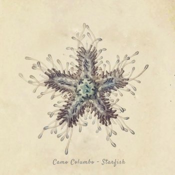 Camo Columbo Starfish