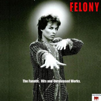 Felony I'm No Animal (from Friday the 13th Part Vi)
