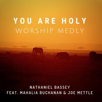 Nathaniel Bassey feat. Mahalia Buchanan & Joe Mettle You Are Holy (Worship Medly)