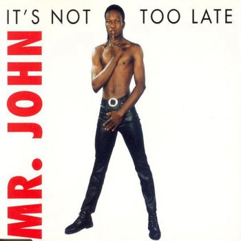 Mr. John It's Not Too Late (Radio Edit)