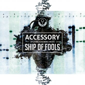Accessory Ship of Fools - Where Is the House Cat Remix