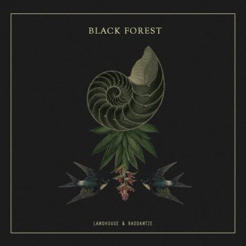 Landhouse feat. Raddantze & Nathan Hall Back from the Black Forest - Nathan Hall remix