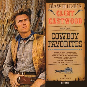 Clint Eastwood Rowdy