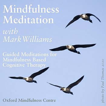 Mark Williams Guided Body Scan Meditation