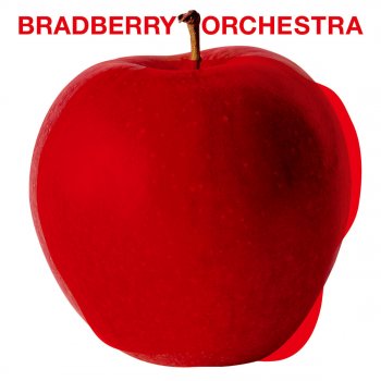 Bradberry Orchestra LOVE CHECK