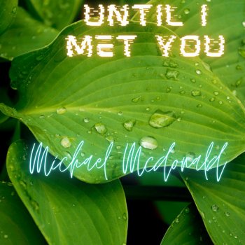 Michael McDonald Until I Met You