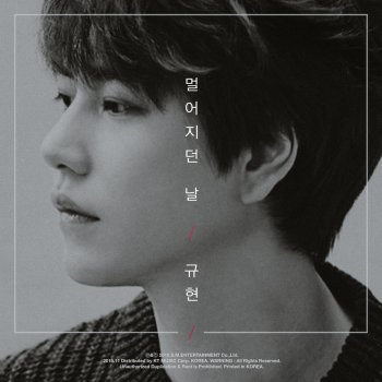 KYUHYUN 멀어지던 날 The Day We Felt the Distance