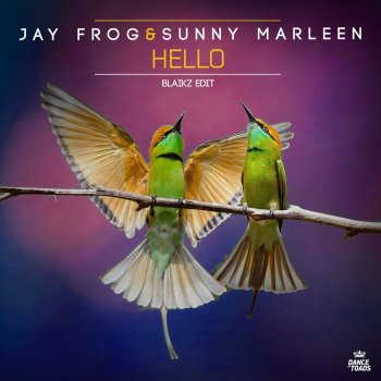 Jay Frog feat. Sunny Marleen Hello (Blaikz Radio Edit)