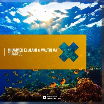 Mhammed El Alami feat. Waltin Jay Thankful