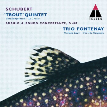 Trio Fontenay Adagio & Rondo Concertante in F Major D. 487: I. Adagio
