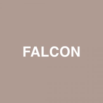 Jaden Smith feat. Raury Falcon