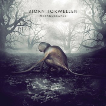 Bjoern Torwellen Network (Album Edit)