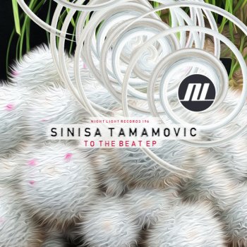 Sinisa Tamamovic To The Beat