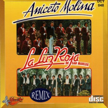 Aniceto Molina Remix Historia Musical