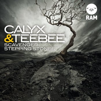 Calyx & Teebee Stepping Stones