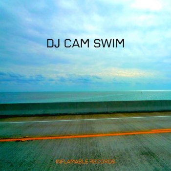 DJ Cam feat. Chris James Swim - Radio Version