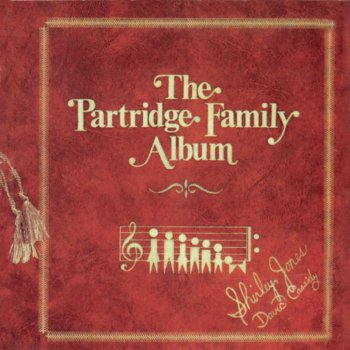 The Partridge Family I Really Want To Know You