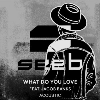 Seeb feat. Jacob Banks What Do You Love - Acoustic