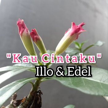 Illo Kau Cintaku (feat. Edel)
