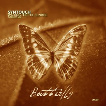 Syntouch Waiting For the Sunrise (Extended Mix)