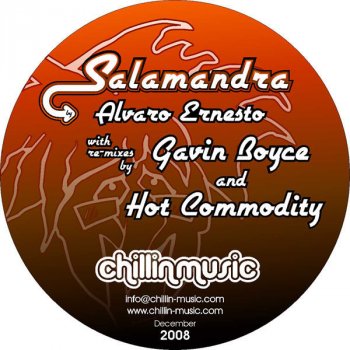 Alvaro Ernesto Salamandra - Gavin Boyce Re-Mix