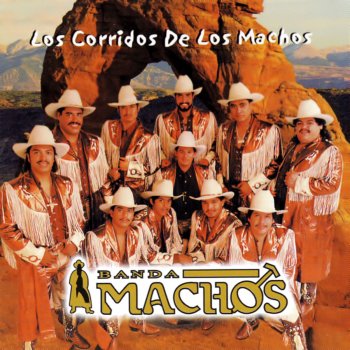 Banda Machos Traficantes michoacanos
