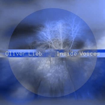 Oliver Lieb Self-Aware Universe