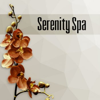 Tranquility Spa Universe Celtic Spa Music