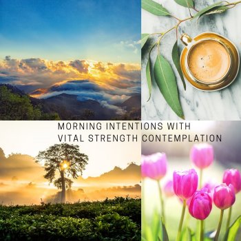 Stress Relief Calm Oasis Morning Intentions