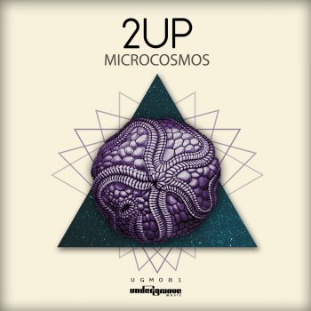 2UP Microcosmos
