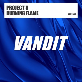 Project 8 Burning Flame