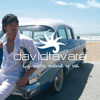 David Tavaré Summerlove (Radio Edit)