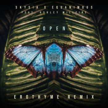 Equanimous Open (feat. Ashley Willfire) [Erothyme Remix]