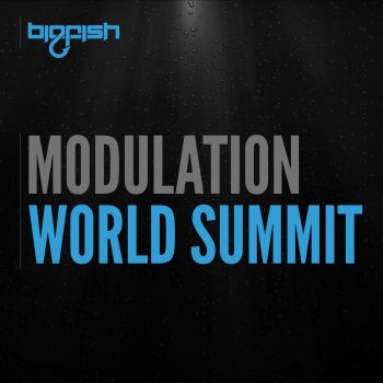 Modulation World Summit - Original Mix