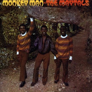 Toots & The Maytals Monkey Girl