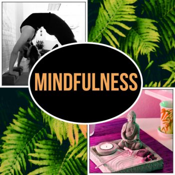 Mindfulness Meditation Universe Only for My Mind
