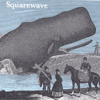 squarewave My Siamese