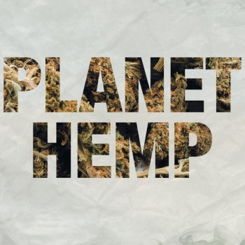 Planet Hemp Legalize Já