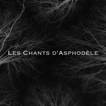 La Cantina Les Chants D'asphodle (Instrumental)