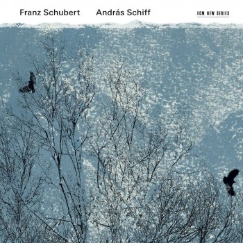 András Schiff Sonate in B-Dur, D. 960: Molto moderato