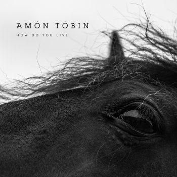Amon Tobin Black as the Sun