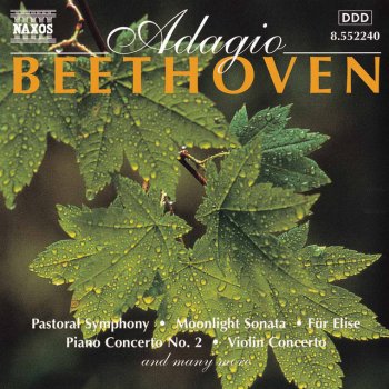 Beethoven; Stefan Vladar, Capella Istropolitana, Barry Wordsworth Piano Concerto No. 2 in B-Flat Major, Op. 19: Adagio