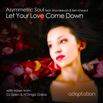 Asymmetric Soul Let Your Love Come Down (DJ Spen & N'Dinga Gaba Remix)