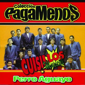 Banda Cuisillos Pecado Original
