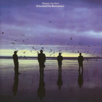 Echo & The Bunnymen Show of Strength (Live)