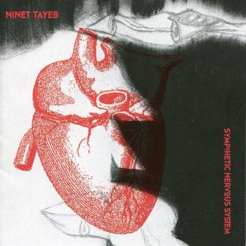 Ninet Tayeb Sympathetic Nervous System